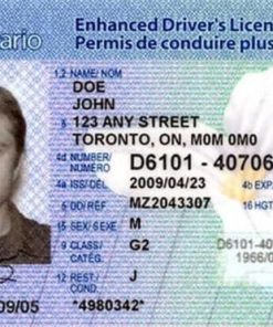 Buy Canadian Drivers License