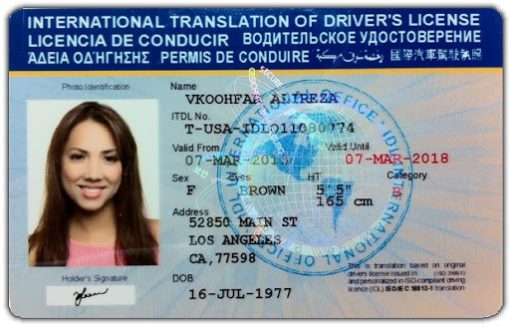 Buy International Drivers License