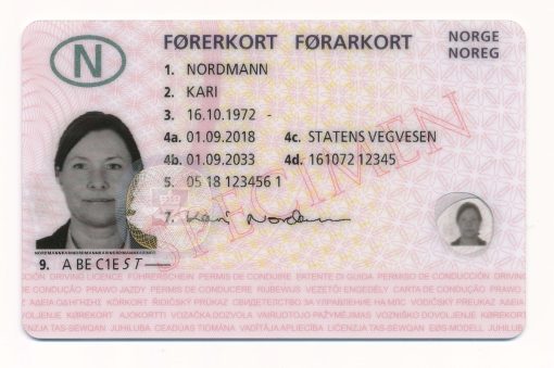 Norway driver's license