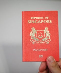 Fake Singapore Passport