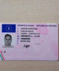 Italy driver's licence