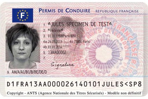 France driver's licence